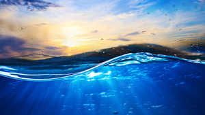 Illustration for article titled Best of the Week: May 5-May 11, 2012
